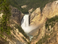 Yellowstone Falls